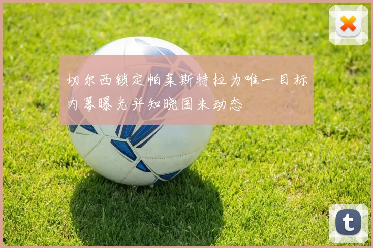 切尔西锁定帕莱斯特拉为唯一目标内幕曝光并知晓国米动态